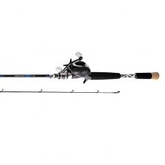 Daiwa Baitcasting Combos