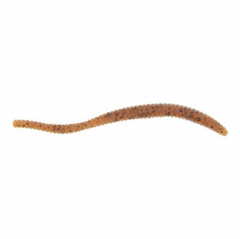 Berkley PowerBait Power Floating Trout Worms