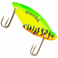 Reef Runner Cicadas