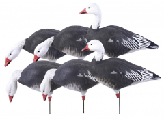 Avery Goose Decoys