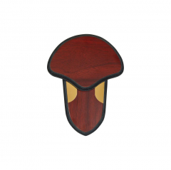 Allen Trophy Mounting Kits