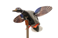 Mojo Outdoors Hunting Decoys