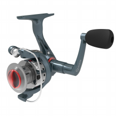 Quantum Spinning Reels