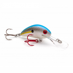 Vexan Rattlin Wasp Lures