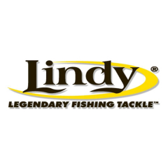 Lindy