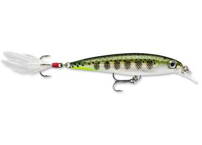 RAPALA XR08OGMD