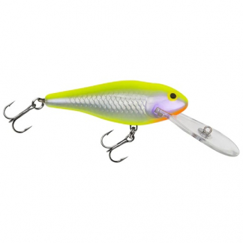 BAGLEY BAIT DDS07-SFC