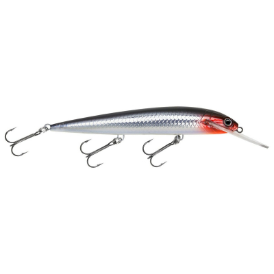 BAGLEY BAIT RMB11-S