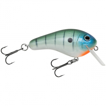 BAGLEY BAIT RKB2-BGL