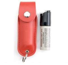 Mace Security Personal Protection