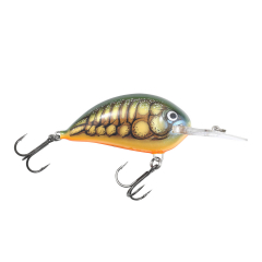 Northland Tackle Rumble Bugs